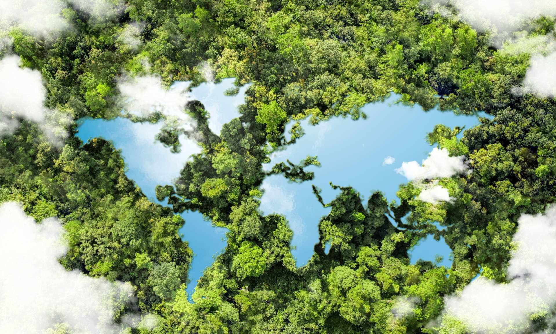 Отношение бизнеса к климатической повестке и углеродному регулированию в России