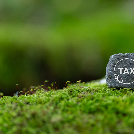 Экологический сбор: отчетная кампания по 2025 году, краткий обзор изменений с 2026 года для компаний-импортеров