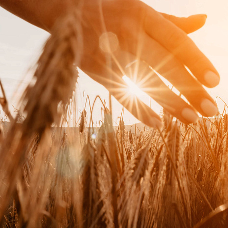 Андрей Буханцов — о факторах роста товарооборота между Россией и Аргентиной