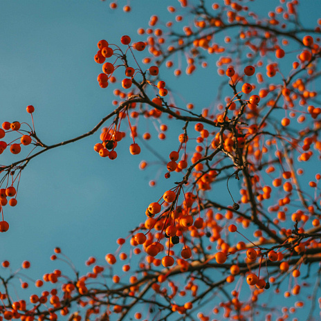 Планируемые изменения в налоговое законодательство: что важно знать бизнесу
