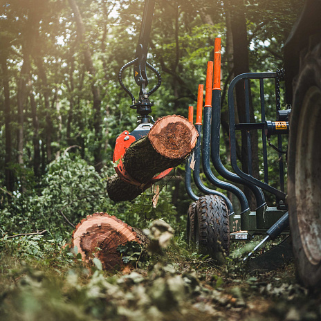 VIII Международная конференция «Целлюлозно-бумажная промышленность России – новые реалии, новые возможности»