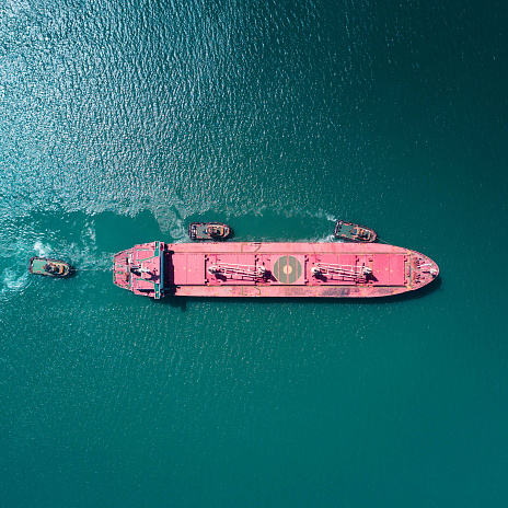 Административное и уголовное преследование в сфере таможенных правоотношений