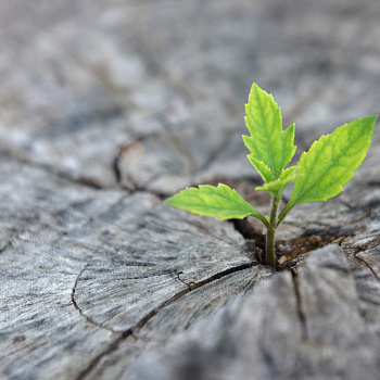 Подтверждено: чистый разум не скован границами