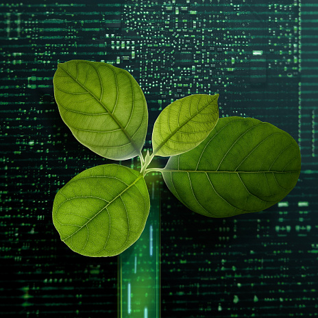 Гринвошинг: как проверить компанию на соблюдение принципов ESG