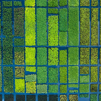 Подтверждено: чистый разум не скован границами